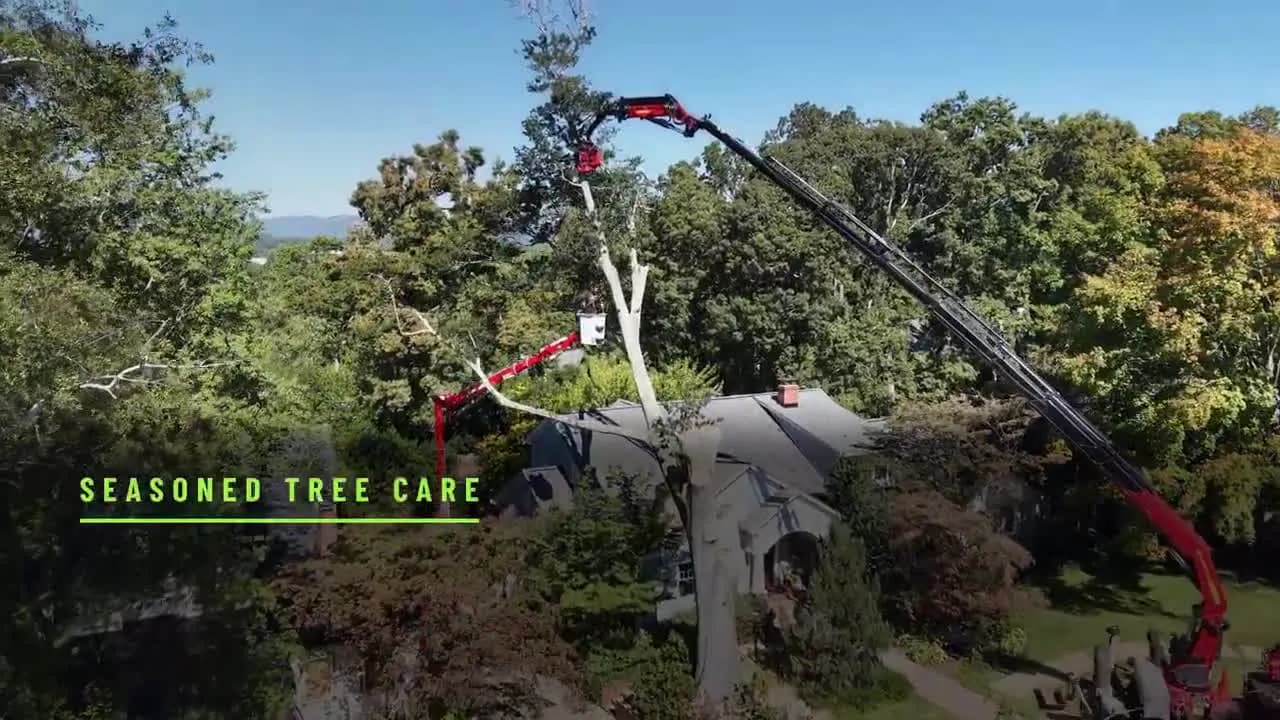 Water oak crane removal in Greenville