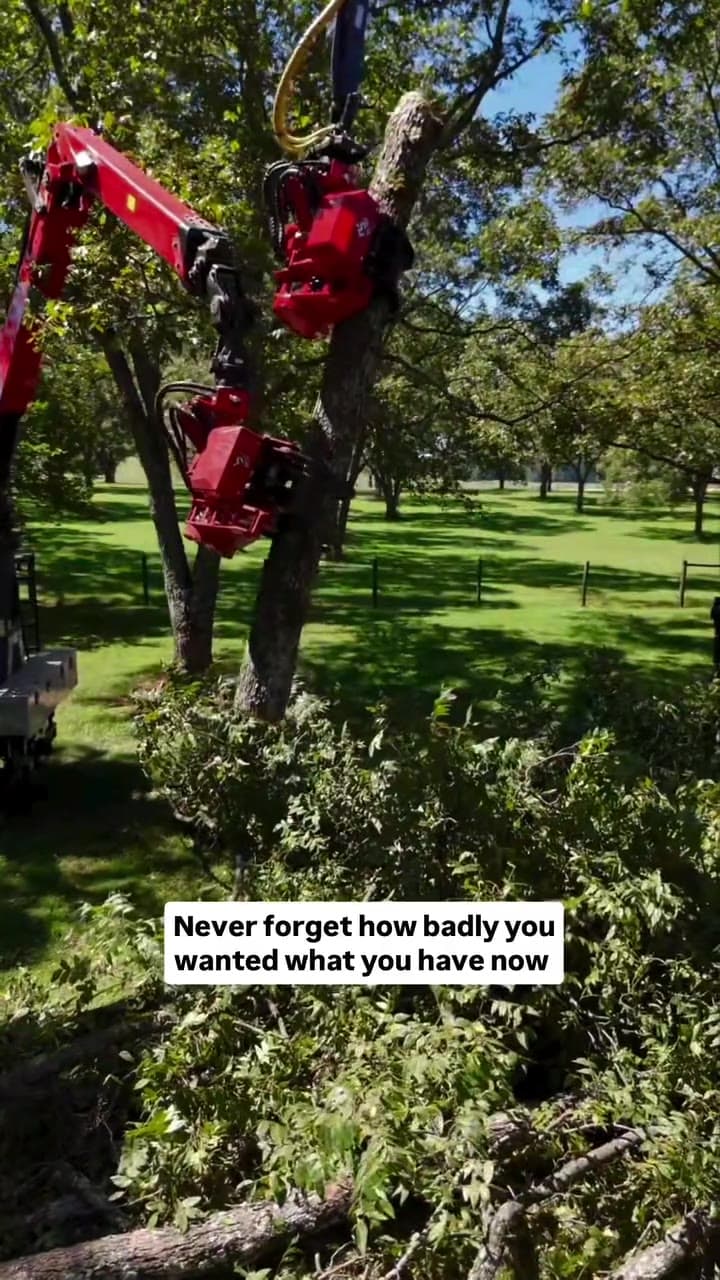 Seasoned Tree Care arborist job-site reel