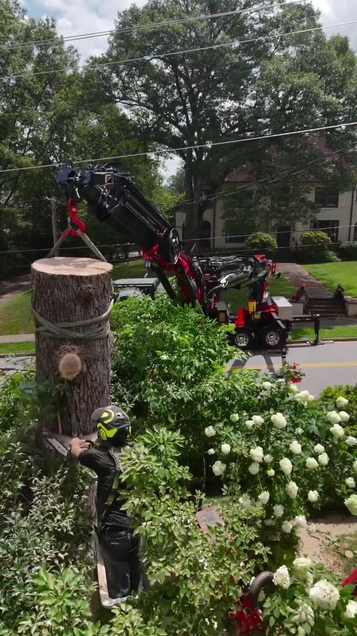 Palfinger crane lifting a tree section in downtown Greenville