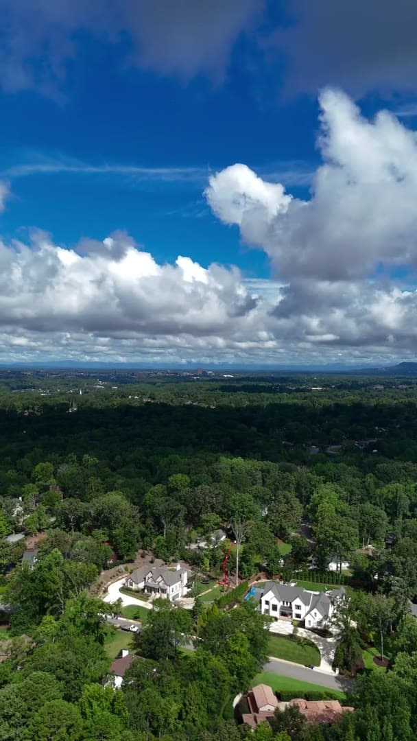 Dead Tree Removal — Greenville, SC