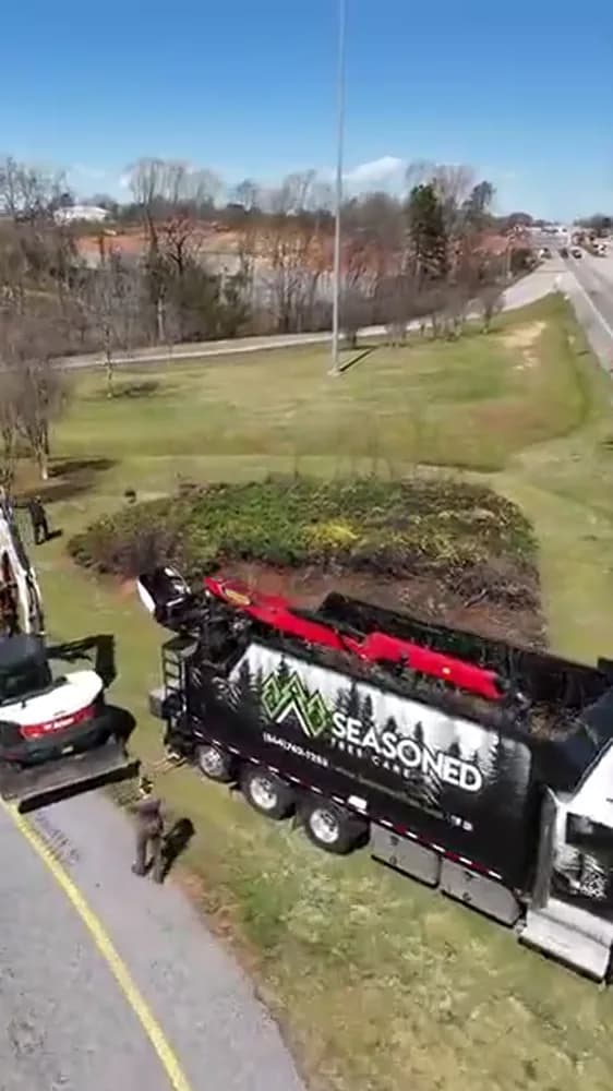 Anderson County tree work: removal and debris handling