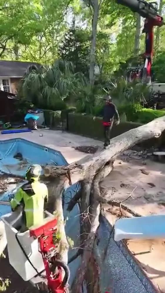 Removing a fallen tree from an Anderson pool