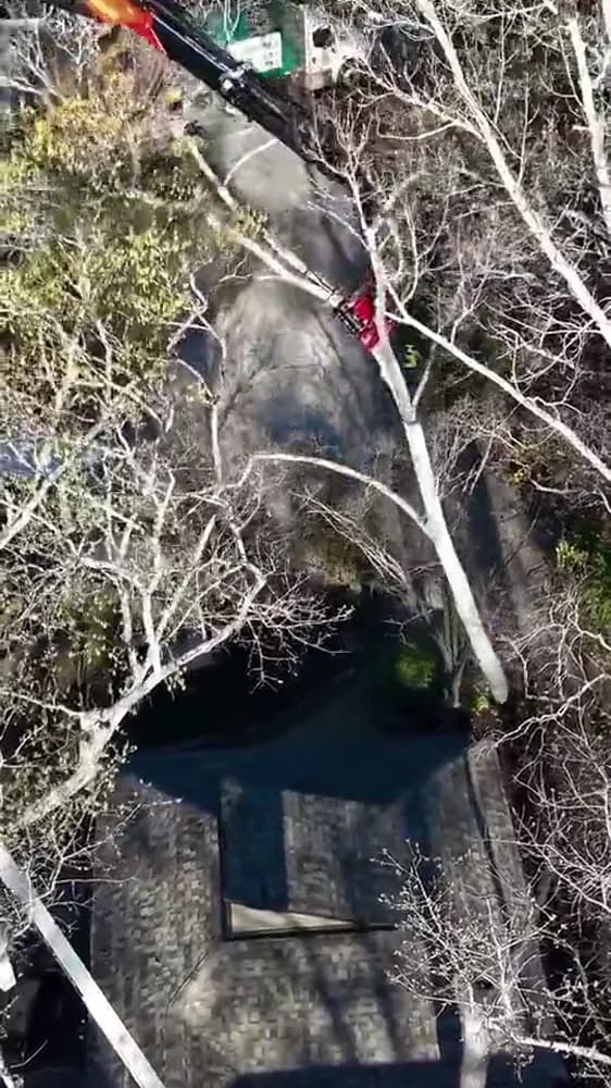 Greenville crane removal: the walkthrough and the work