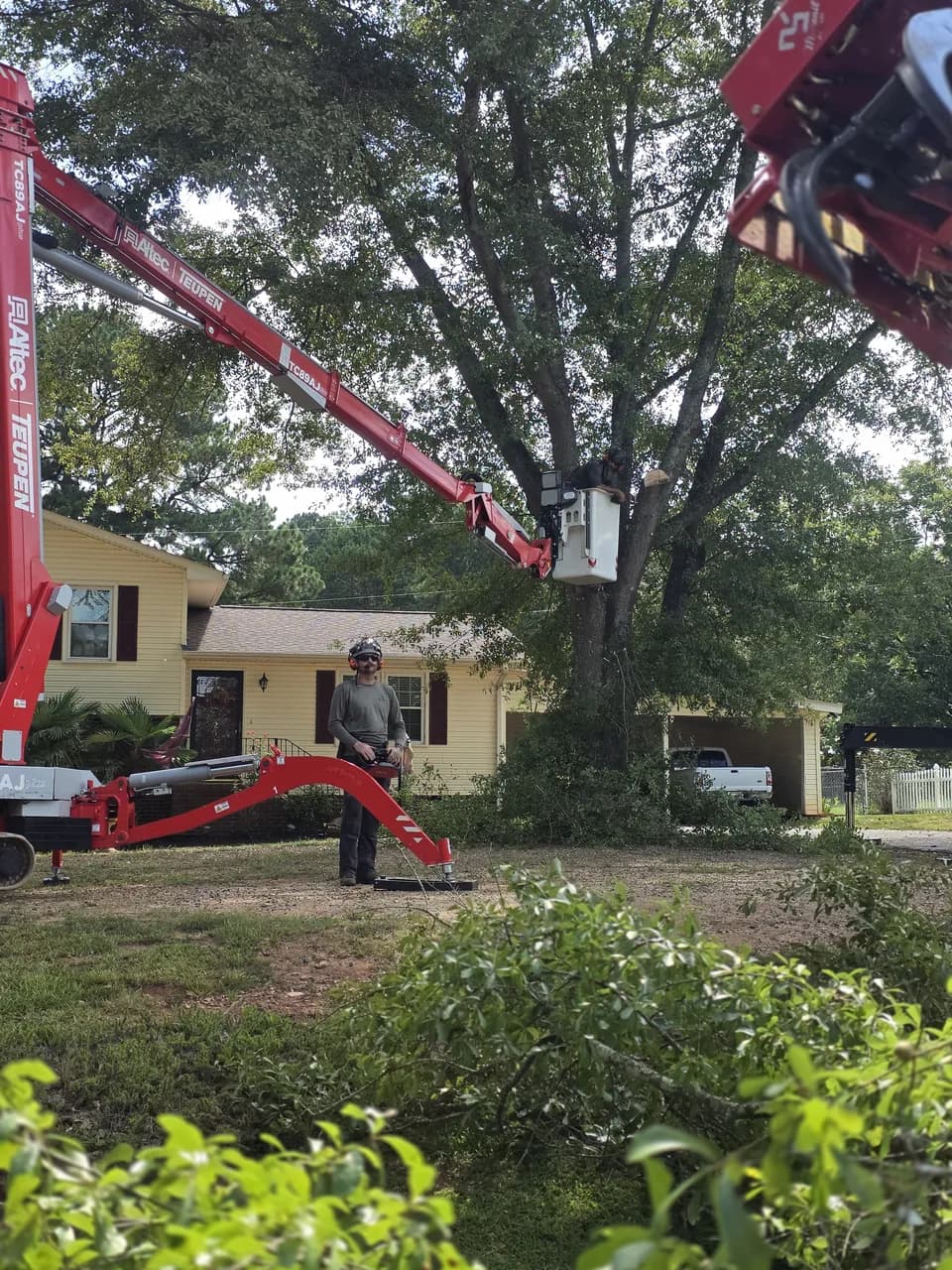 A climber in the bucket of our tracked spider lift working in a large tree beside a house, with a crew member on the ground at the controls.