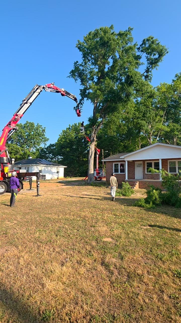Bandit 21XP Chipper — Seasoned Tree Care