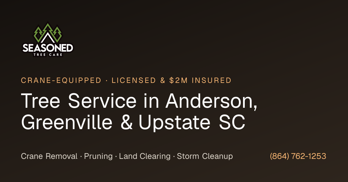 Tree Service in Anderson & Greenville, SC